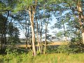 063 (2)